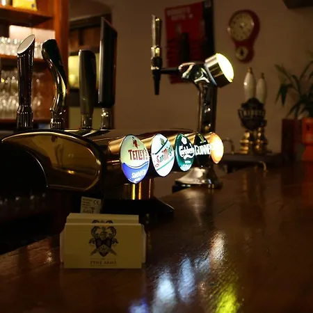 Pyne Arms-2