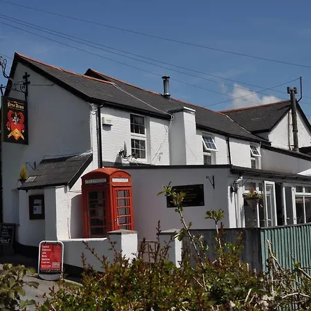 Pyne Arms-3